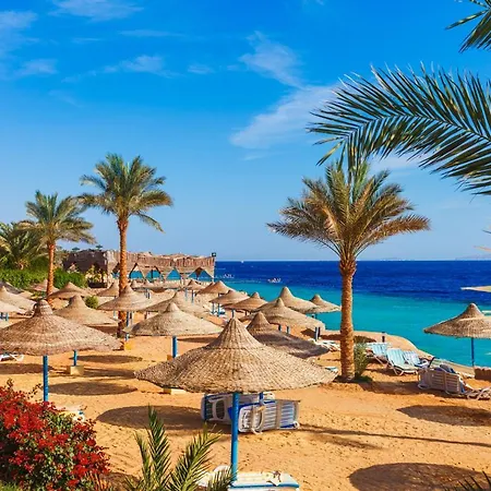 Criss Resort Sharm El-Sheikh